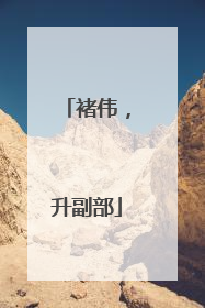 褚伟，升副部
