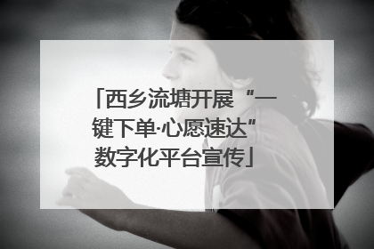西乡流塘开展“一键下单·心愿速达”数字化平台宣传