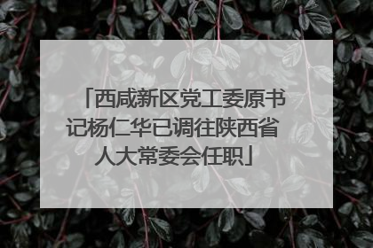 西咸新区党工委原书记杨仁华已调往陕西省人大常委会任职
