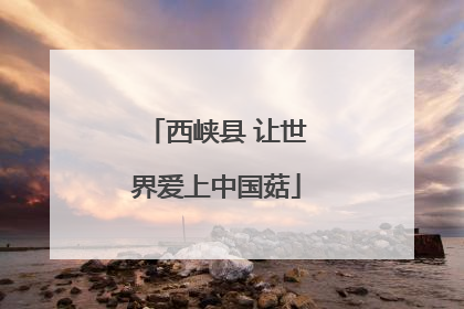 西峡县 让世界爱上中国菇