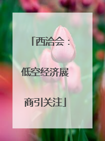 西洽会：低空经济展商引关注