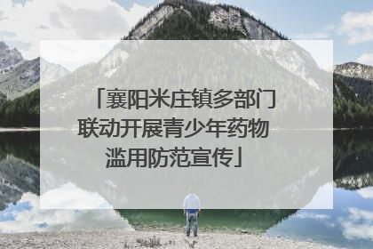 襄阳米庄镇多部门联动开展青少年药物滥用防范宣传