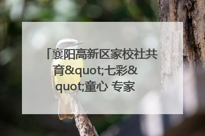 襄阳高新区家校社共育"七彩"童心 专家团支招智慧育儿
