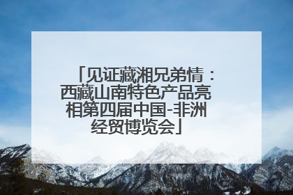 见证藏湘兄弟情：西藏山南特色产品亮相第四届中国-非洲经贸博览会