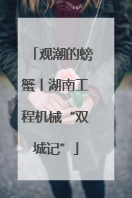 观潮的螃蟹丨湖南工程机械“双城记”