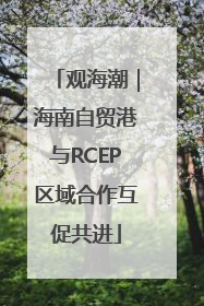 观海潮｜海南自贸港与RCEP区域合作互促共进