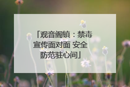 观音阁镇：禁毒宣传面对面 安全防范驻心间