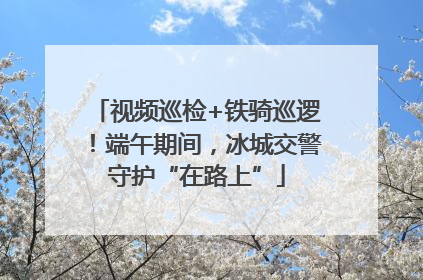 视频巡检+铁骑巡逻！端午期间，冰城交警守护“在路上”