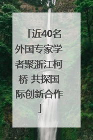 近40名外国专家学者聚浙江柯桥 共探国际创新合作