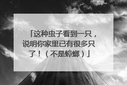 这种虫子看到一只，说明你家里已有很多只了！（不是蟑螂）