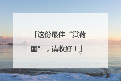 这份最佳“赏荷图”，请收好！