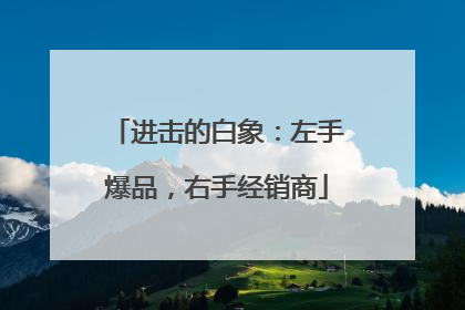 进击的白象：左手爆品，右手经销商