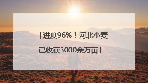 进度96%！河北小麦已收获3000余万亩