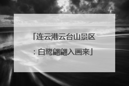连云港云台山景区：白鹭翩翩入画来