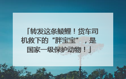 转发这条鲮鲤！货车司机救下的“胖宝宝”，是国家一级保护动物！