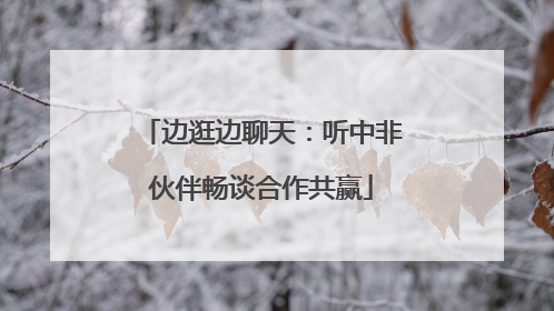 边逛边聊天：听中非伙伴畅谈合作共赢
