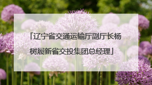 辽宁省交通运输厅副厅长杨树履新省交投集团总经理