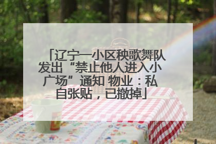 辽宁一小区秧歌舞队发出“禁止他人进入小广场”通知 物业：私自张贴，已撤掉