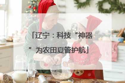 辽宁：科技“神器”为农田夏管护航