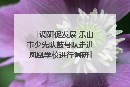 调研促发展 乐山市少先队鼓号队走进凤凰学校进行调研