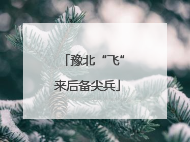 豫北“飞”来后备尖兵