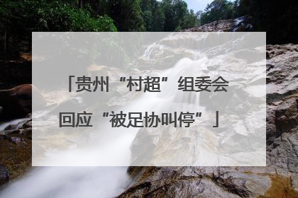 贵州“村超”组委会回应“被足协叫停”
