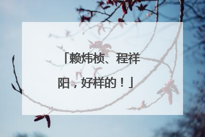 赖炜桢、程祥阳，好样的！