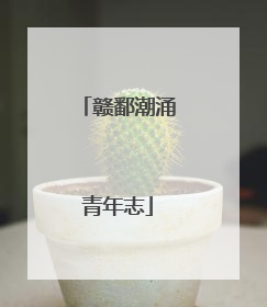 赣鄱潮涌青年志