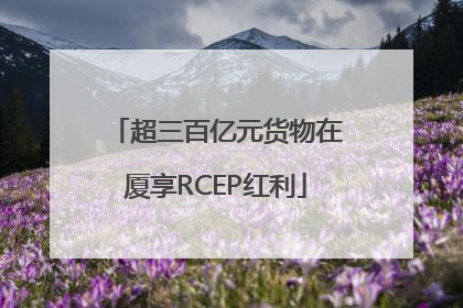 超三百亿元货物在厦享RCEP红利