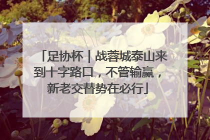 足协杯｜战蓉城泰山来到十字路口，不管输赢，新老交替势在必行