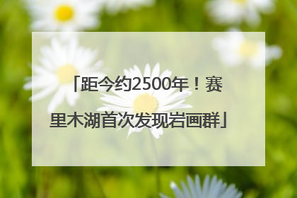 距今约2500年！赛里木湖首次发现岩画群