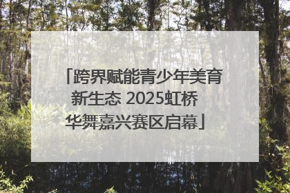 跨界赋能青少年美育新生态 2025虹桥华舞嘉兴赛区启幕