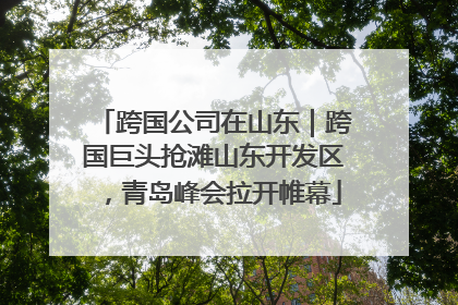 跨国公司在山东｜跨国巨头抢滩山东开发区，青岛峰会拉开帷幕