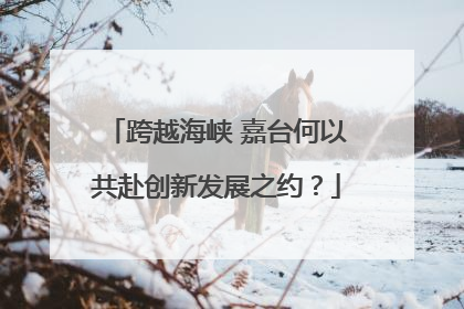 跨越海峡 嘉台何以共赴创新发展之约？