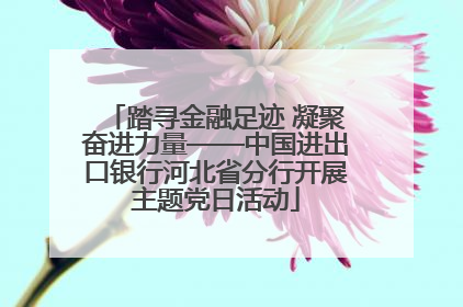 踏寻金融足迹 凝聚奋进力量——中国进出口银行河北省分行开展主题党日活动