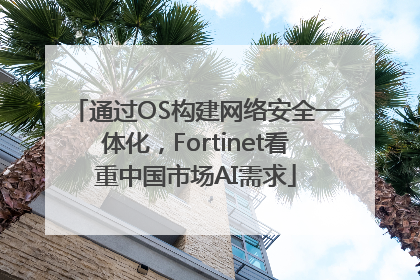 通过OS构建网络安全一体化，Fortinet看重中国市场AI需求