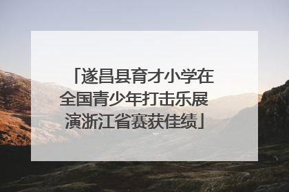 遂昌县育才小学在全国青少年打击乐展演浙江省赛获佳绩