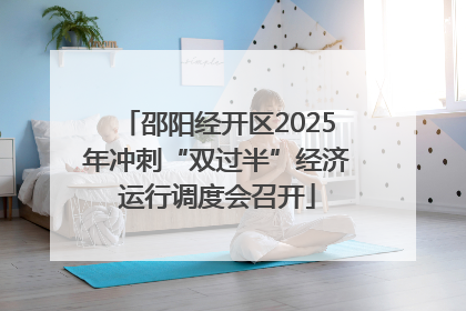 邵阳经开区2025年冲刺“双过半”经济运行调度会召开