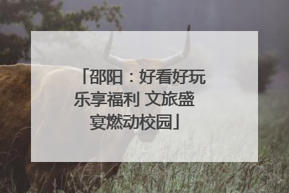 邵阳：好看好玩乐享福利 文旅盛宴燃动校园