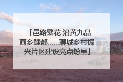 邑路繁花 沿黄九品 画乡鲤都……聊城乡村振兴片区建设亮点纷呈