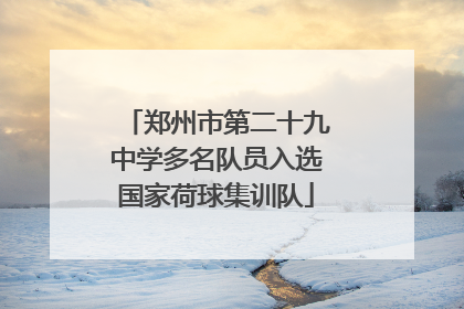 郑州市第二十九中学多名队员入选国家荷球集训队