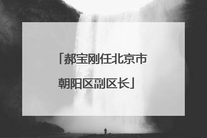 郝宝刚任北京市朝阳区副区长