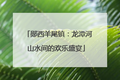郧西羊尾镇：龙潭河山水间的欢乐盛宴