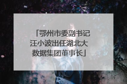 鄂州市委副书记汪小波出任湖北大数据集团董事长