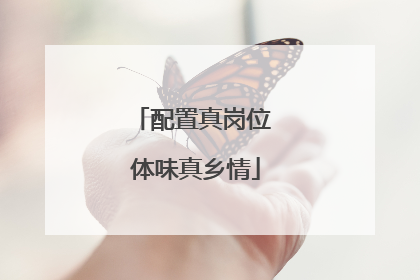 配置真岗位 体味真乡情
