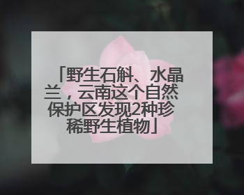 野生石斛、水晶兰，云南这个自然保护区发现2种珍稀野生植物