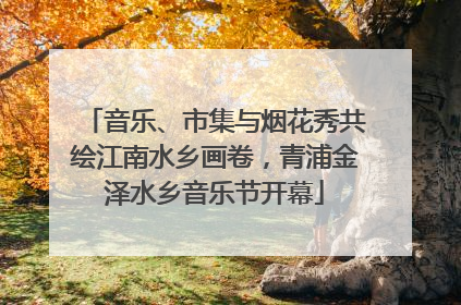 音乐、市集与烟花秀共绘江南水乡画卷，青浦金泽水乡音乐节开幕