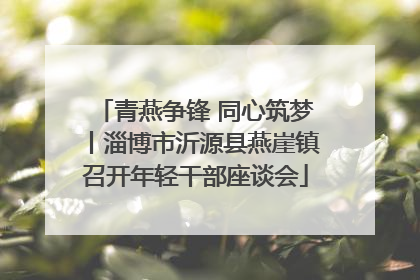 青燕争锋 同心筑梦丨淄博市沂源县燕崖镇召开年轻干部座谈会