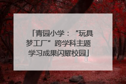 青园小学：“玩具梦工厂”跨学科主题学习成果闪耀校园