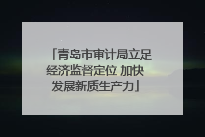 青岛市审计局立足经济监督定位 加快发展新质生产力